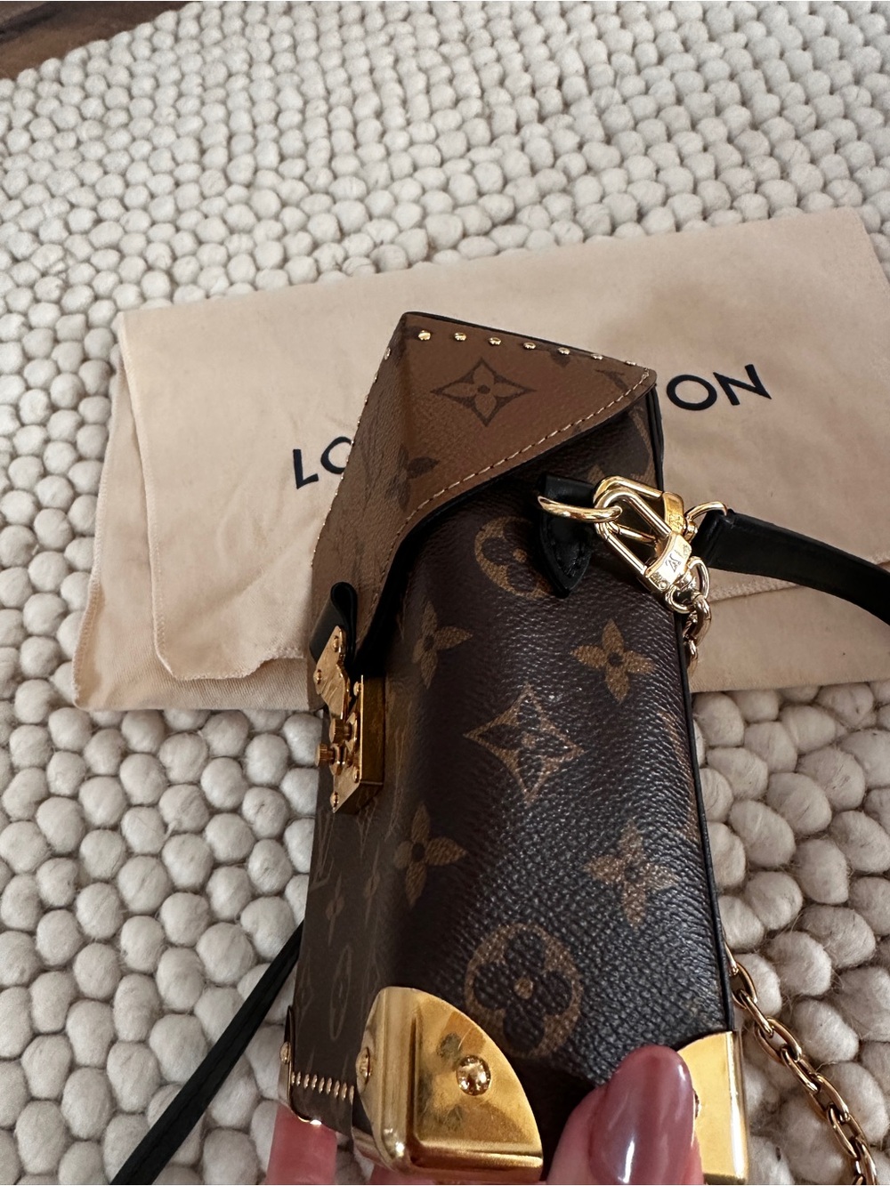 Louis Vuitton Camera Box Bag - Picture 15 of 16